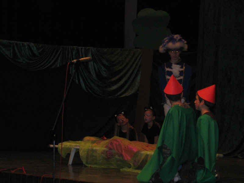 IMG_1175.jpg (274832 Byte)